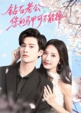 钻石老公,您的马甲不能掉