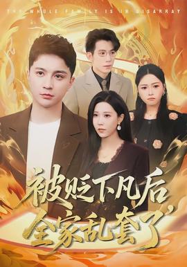 被贬下凡后全家乱套了